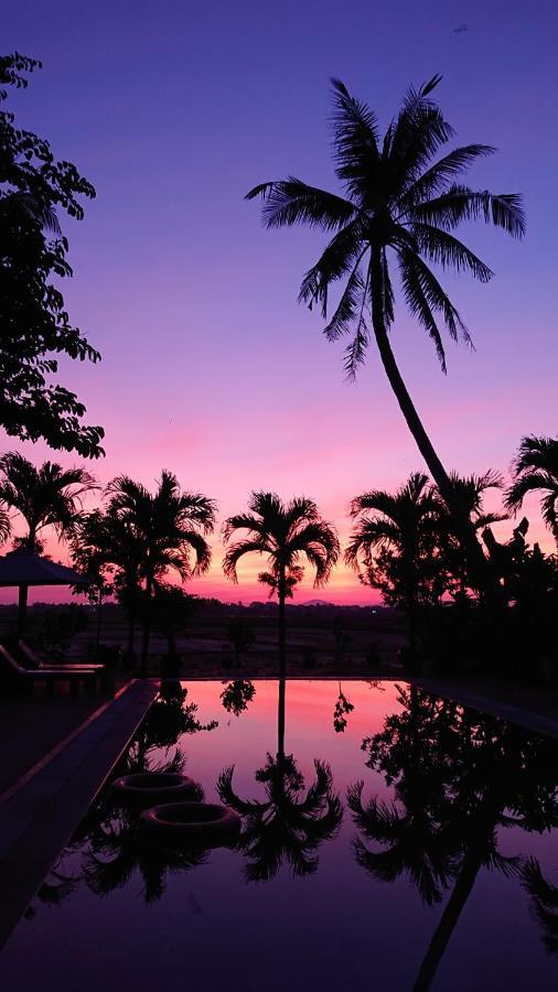 Hoi An Four Seasons Villa المظهر الخارجي الصورة